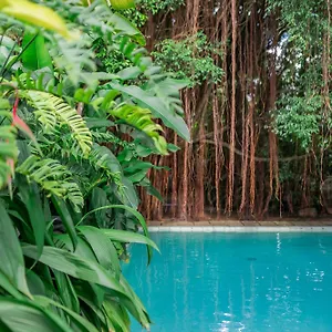 Bed & Breakfast The Fern Cove - Colombo